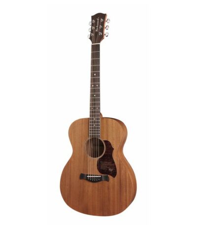guitare auditorium richwood a-50