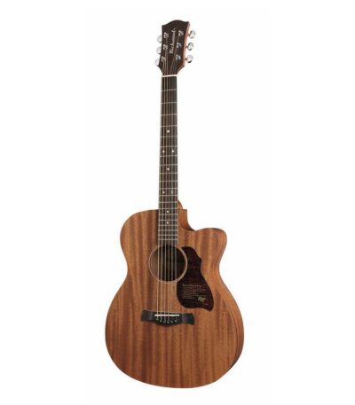 guitare auditorium richwood a-50-ce