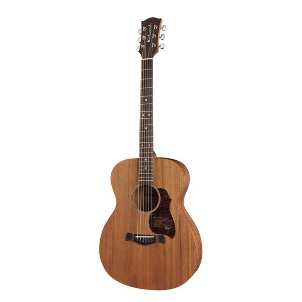 guitare auditorium richwood a-50-e