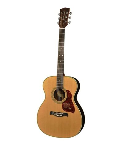 guitare auditorium richwood a-65-va