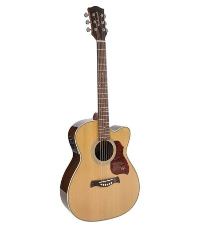 guitare auditorium richwood master series a-65-ceva