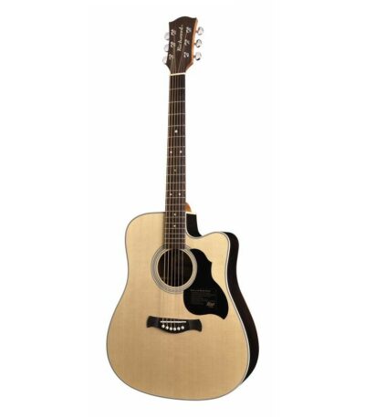 guitare electro acoustique richwood D-60-CE