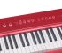 piano numerique transportable medeli SP-C120RD